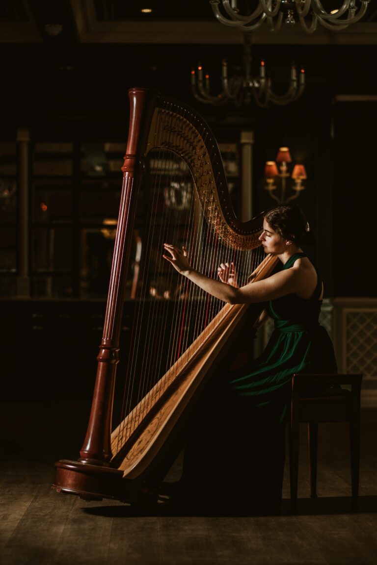 Noa Davies Harpist
