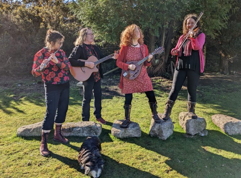 The Rosevilles Ceilidh Band