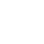 secure payment icon white